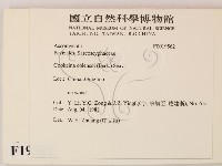 登錄號:F0019562藏品圖，第2張