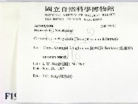 登錄號:F0019563藏品圖，第2張
