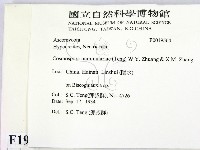 登錄號:F0019564藏品圖，第2張