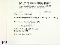 登錄號:F0019565藏品圖，第2張