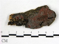 登錄號:F0019565藏品圖，第1張