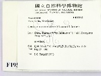 登錄號:F0019567藏品圖，第2張