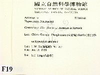 登錄號:F0019568藏品圖，第2張
