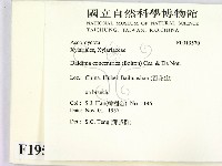 登錄號:F0019570藏品圖，第2張