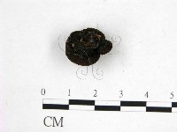 登錄號:F0019570藏品圖，第3張