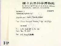 登錄號:F0019571藏品圖，第2張
