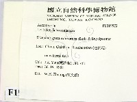 登錄號:F0019572藏品圖，第2張