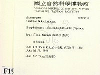 登錄號:F0019574藏品圖，第2張