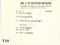 登錄號:F0019575藏品圖，第2張