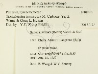 登錄號:F0019576藏品圖，第2張