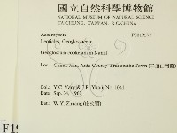 登錄號:F0019577藏品圖，第2張