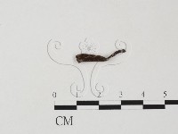 登錄號:F0019577藏品圖，第1張
