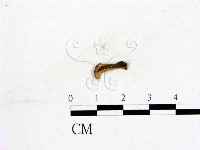 登錄號:F0019578藏品圖，第3張