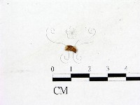 登錄號:F0019579藏品圖，第1張