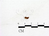 登錄號:F0019579藏品圖，第3張
