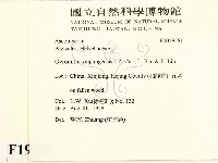 登錄號:F0019581藏品圖，第2張