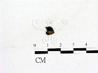 登錄號:F0019582藏品圖，第3張