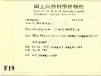 登錄號:F0019583藏品圖，第2張