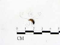 登錄號:F0019583藏品圖，第1張