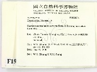 登錄號:F0019584藏品圖，第2張