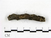 登錄號:F0019584藏品圖，第1張