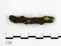 登錄號:F0019584藏品圖，第3張