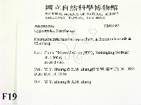 登錄號:F0019585藏品圖，第2張
