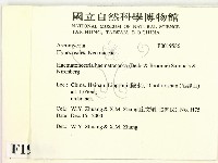 登錄號:F0019586藏品圖，第2張