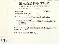 登錄號:F0019587藏品圖，第2張