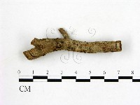 登錄號:F0019588藏品圖，第1張