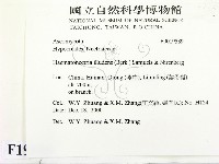 登錄號:F0019589藏品圖，第2張