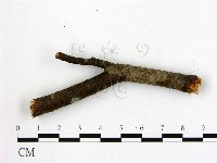 登錄號:F0019589藏品圖，第1張