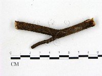 登錄號:F0019589藏品圖，第4張