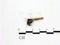 登錄號:F0019590藏品圖，第3張