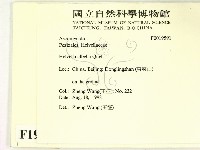 登錄號:F0019591藏品圖，第2張