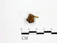 登錄號:F0019591藏品圖，第3張