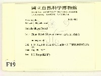登錄號:F0019592藏品圖，第2張