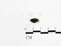 登錄號:F0019592藏品圖，第1張