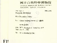 登錄號:F0019593藏品圖，第2張