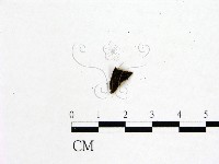 登錄號:F0019593藏品圖，第1張