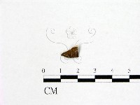 登錄號:F0019593藏品圖，第3張