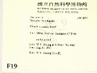 登錄號:F0019594藏品圖，第2張
