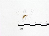 登錄號:F0019596藏品圖，第3張