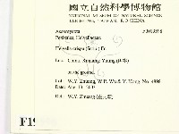 登錄號:F0019598藏品圖，第2張