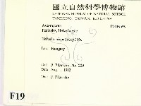 登錄號:F0019599藏品圖，第2張