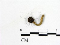 登錄號:F0019600藏品圖，第1張