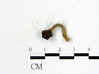 登錄號:F0019600藏品圖，第3張