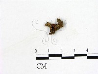 登錄號:F0019601藏品圖，第1張