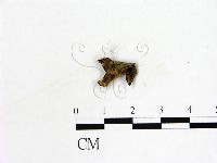 登錄號:F0019601藏品圖，第3張