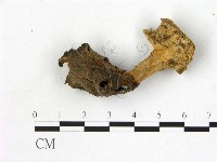 登錄號:F0019602藏品圖，第1張